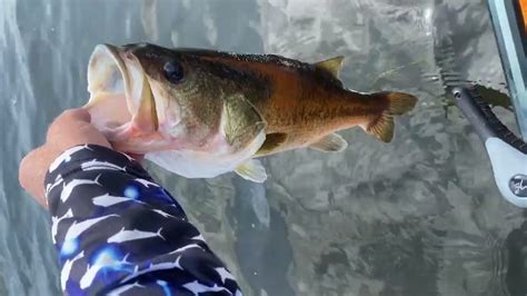 Lake Gilmer May Be The Best Lake In East Texas Youtube