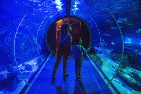 Sea Life Aquarium Paris Guide To Tickets Hours And Marine Exhibits