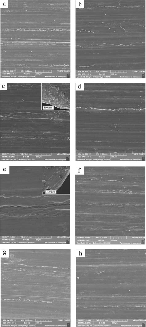 SEM Micrographs Of Worn Surfaces After Sliding At 50 A E And 100 C