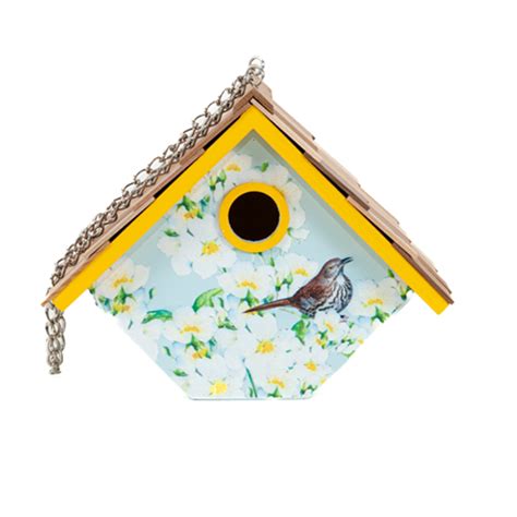 Decorative Bird Houses The Backyard Naturalist