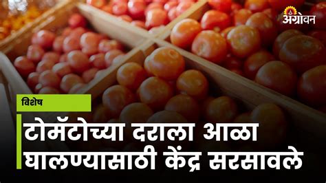 Tomato Rate टोमॅटो दरावर नियंत्रण आणण्यासाठी सरकारचा निर्णय ॲग्रोवन Youtube