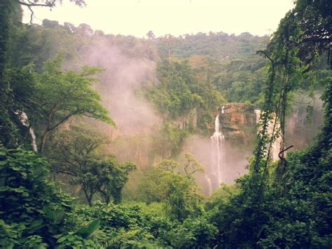 Ekom Nkam Waterfalls Littoral Waterfall Out Of Africa