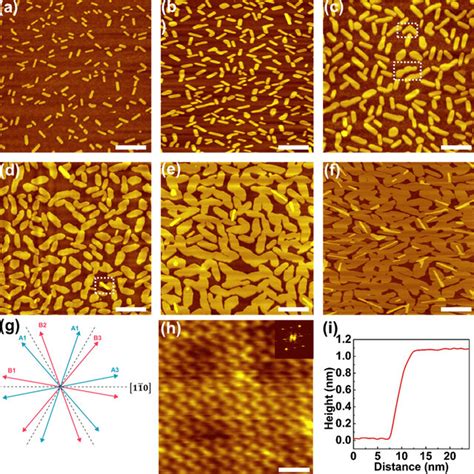 A F Typical Stm Images Of Bi Islands Grown On The Cgt Surfaces With