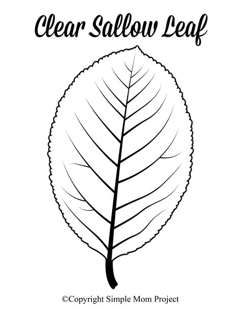 Free Printable For A Large Leaf