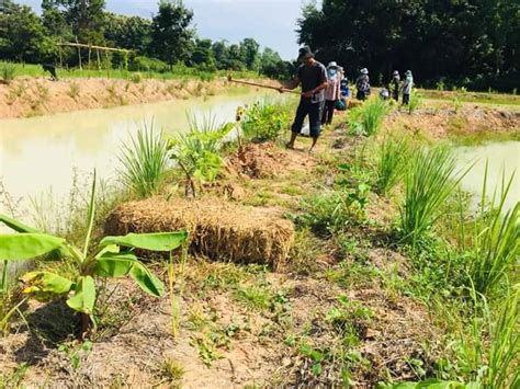 พชเต่างอย ร่วมกิจกรรม เอามื้อสามัคคี “โคก หนอง นา พัฒนาชุมชน