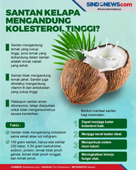 Apakah Santan Kelapa Mengandung Kolesterol Tinggi Ini Faktanya News