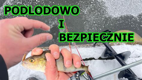 Okonie Spod Lodu Bezpieczne Owienie Podlodowe W Dkarstwo Pzw Youtube