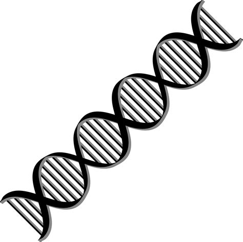 Explore the Fascinating World of DNA with DNA Helix Clipart