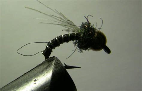 Egg Fly Patterns How To Tie Them And When To Use Them