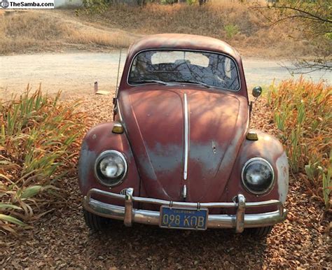 TheSamba VW Classifieds Early 1964 Bug Patina 64