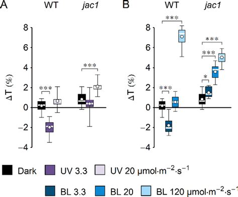 Frontiers Uv B Induces Chloroplast Movements In A Phototropin