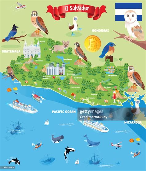 Cartoon Map Of El Salvador High-Res Vector Graphic - Getty Images