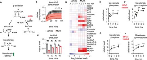 Methylglyoxal Modification Regulates Acat Activity A Connections