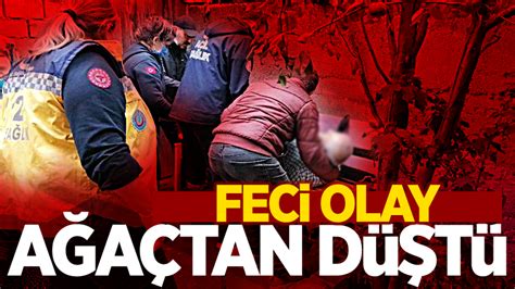 Feci Olay A A Tan D T Haberlisin Sakarya Dan Son Dakika Haberler