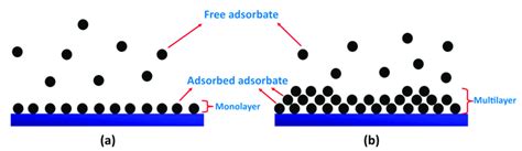 Schematic Representation Of Monolayer And Multilayer Adsorption Of