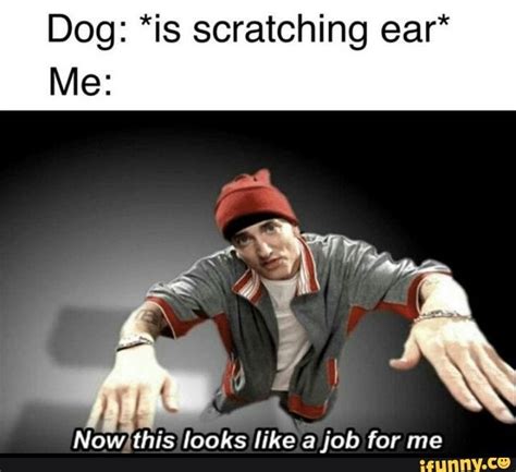 Dog Is Scratching Ear Me Now This Looks Like A Job For Me Ifunny