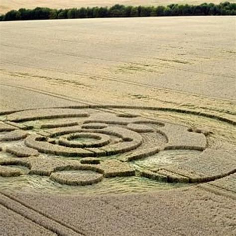 Crop Circles Explained