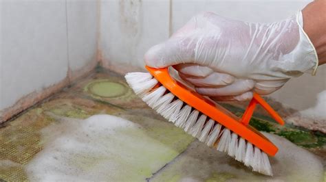 How To Get Rid Of Mold 8 Mold Busters That Actually Work YouTube