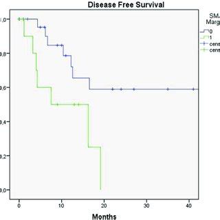 The Disease Free Survival Dfs Kaplanmeier Curve Of The Superior