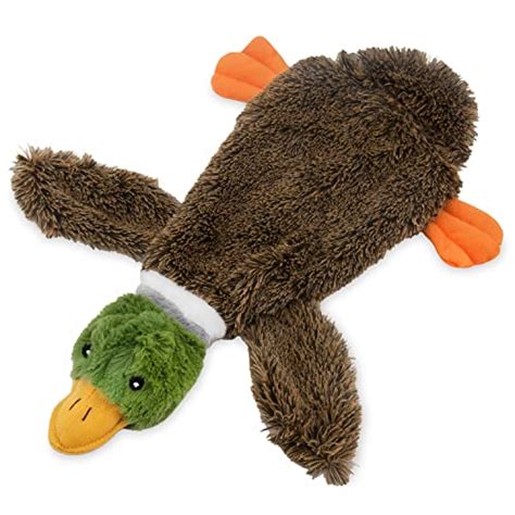 Best Squeaky Duck Dog Toy For Your Fido