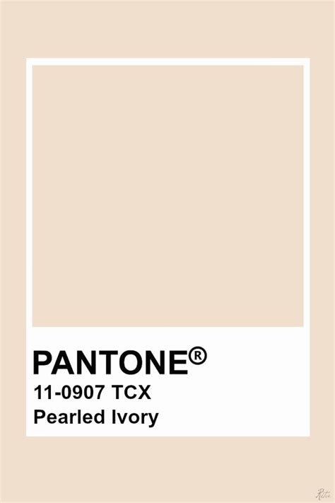 Pantone Pearled Ivory | Pantone colour palettes, Pantone palette ...