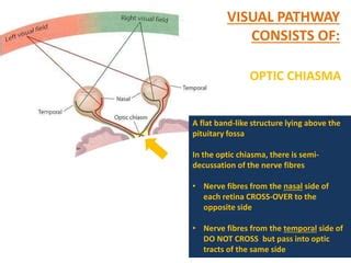 NEURO-OPHTHALMOLOGY | PPT