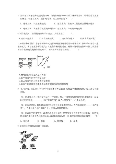 浙教版科学2022 2023学年上学期九年级“一课一练”：44能量的获得【word，含解析】 21世纪教育网