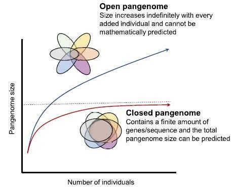 The Illustration Of Open And Closed Pan Genome Represents Graph And