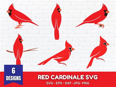 Red Cardinal Svg Bundle Red Cardinal Svg Red Cardinal Heart Svg