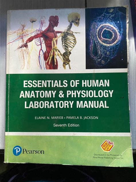 Essentials Of Human Anatomy And Physiology Laboratory Manual Hobbies