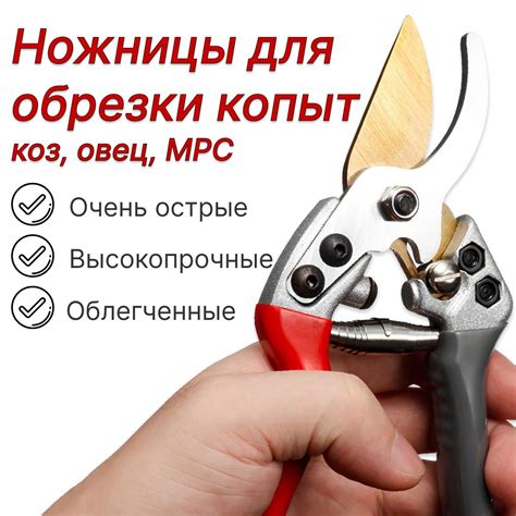 Ножницы для обрезки копыт коз, овец, МРС купить на OZON по низкой цене ...