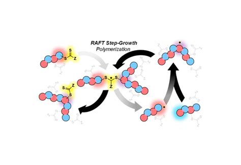 Reversible-Addition Fragmentation Chain Transfer Step-Growth ...