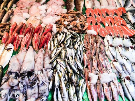 seafood description types preparation britannica