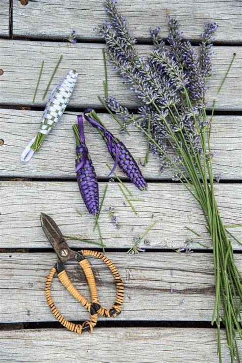 Cómo hacer tus aromatizadores de lavanda LA NACION