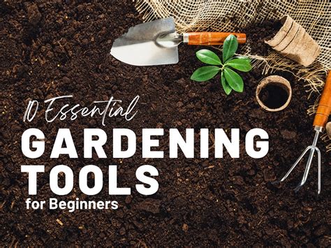 Essential Garden Tools For Beginners The Top 10