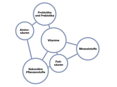 Orthomolekulare Medizin Mikronährstoffe für Gesundheit