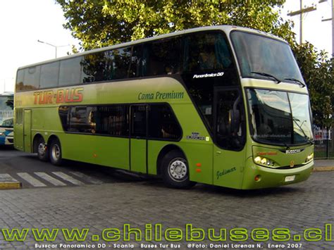 TopWorldAuto Photos Of Busscar Panoramico Photo Galleries