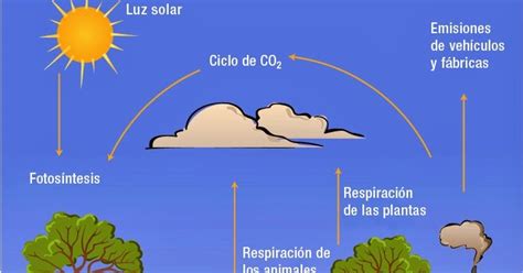 Que Es El Dioxido De Carbono - SEO POSITIVO