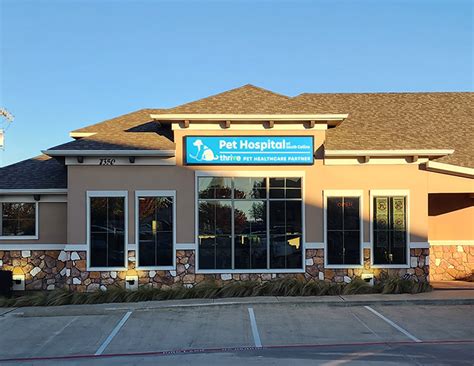 Pet Hospital At South Collins Thrive Pet Healthcare