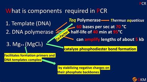 Polymerase Chain Reaction Pcr Ppt Free Download