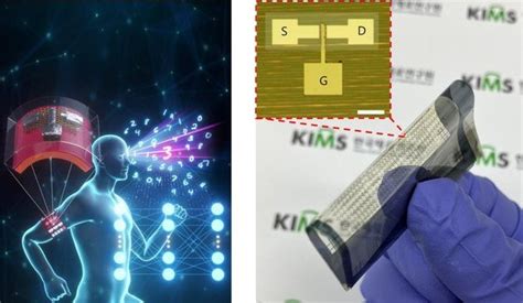 재료연 몸에 부착하는 인공지능 반도체 소자 세계 최초 개발 네이트 뉴스