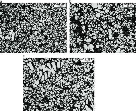 Typical Etched Microstructures From A The Casting Surface B Within Download Scientific