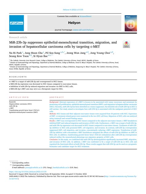 Pdf Mir 23b 3p Suppresses Epithelial Mesenchymal Transition