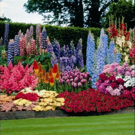 Pin on Plants & Garden Ideas
