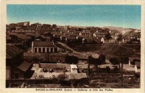 Roche La Moliere Gallinay Et Cite Des Vialles France Roche La