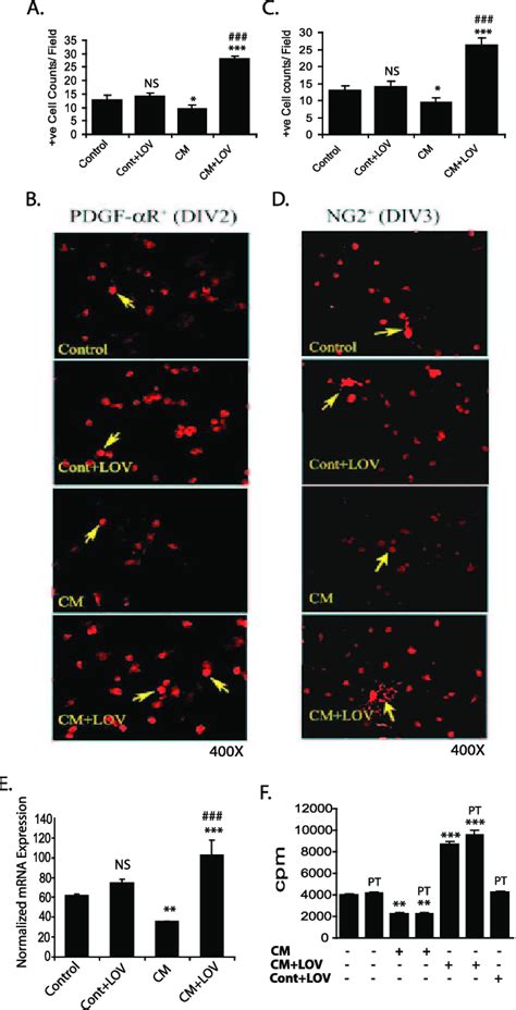 Lovastatin Enhanced The Survival And Proliferation Of Ops In Mixed