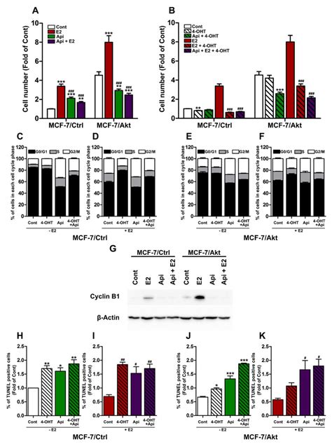 Effects Of Apigenin On The Proliferation And Cell Cycle Of Mcf Ctrl