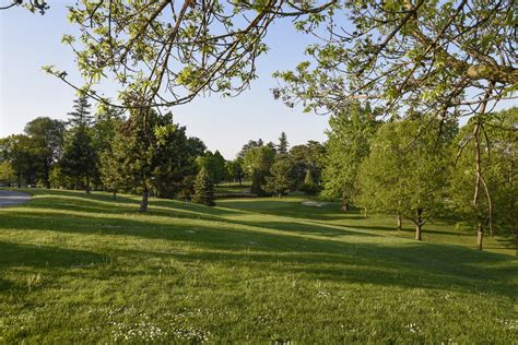 Syracuse 2016 State of the Urban Forest - New York State Urban Forestry ...