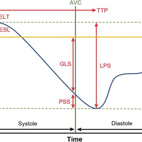 Schematic Explanation Of Strain Parameters Avc Aortic Valve Closure