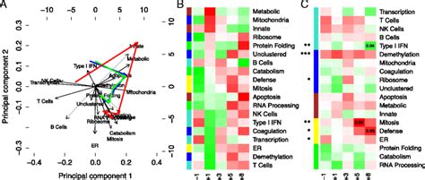 Time Dependent Eigengene Analysis We Analyzed The Evolution Of